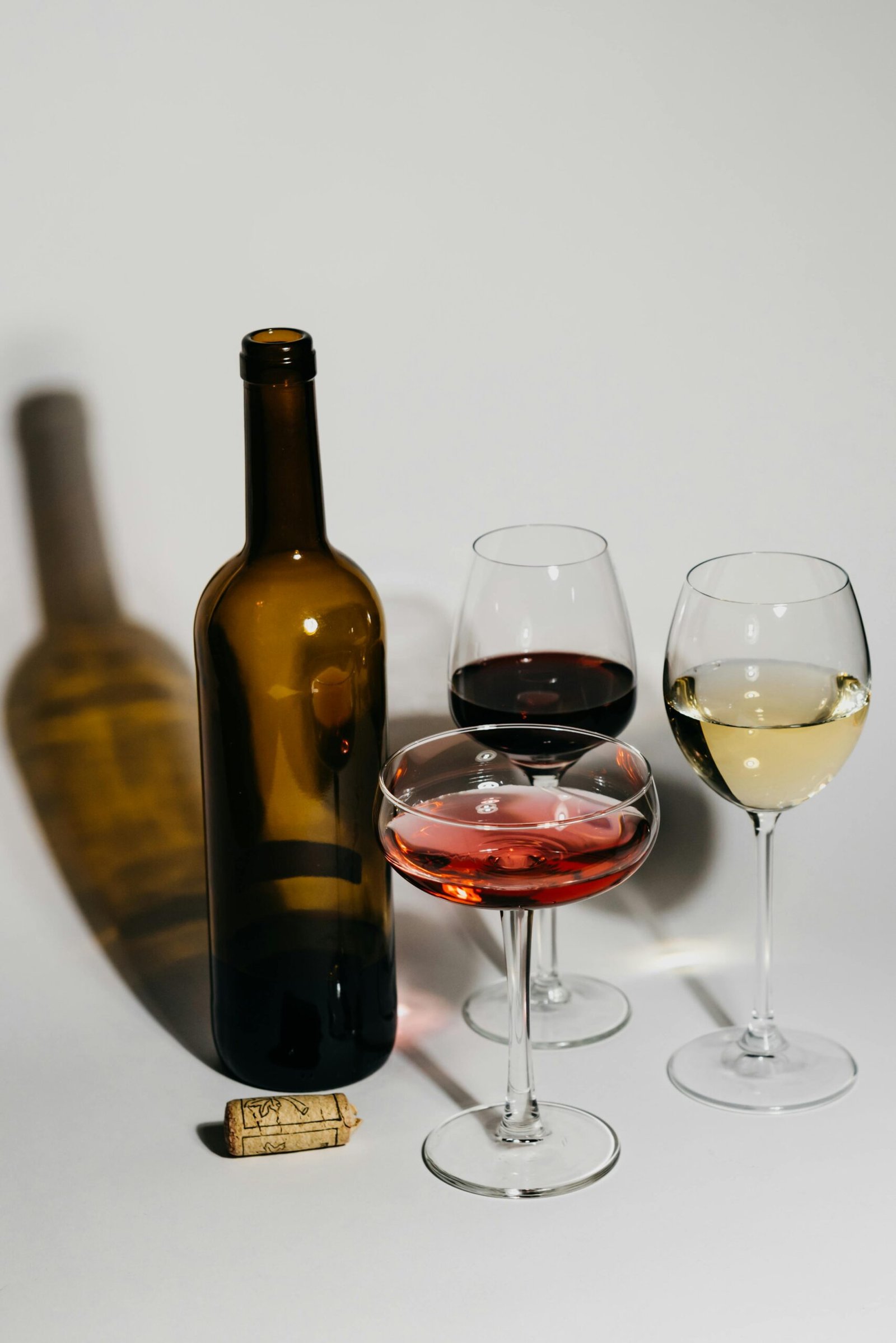 What Is the Difference Between Red and White Wine? A Complete Beginner’s Guide